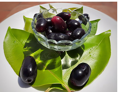 含叶叶的黑梅子含有维生素C和铁血红蛋白心脏健康 并治疗糖尿病夏季水果紫色甜点叶子食物药物团体饮食李子植物树叶图片