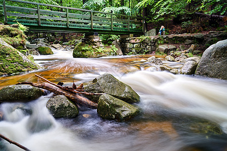 在巨山森林的一条山溪上架起伍德恩人足桥图片