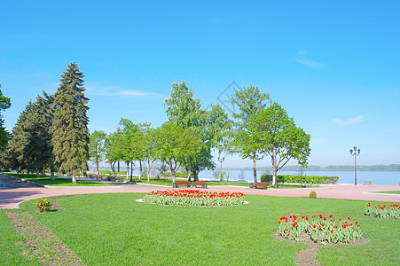 伏尔加河之奎的视图草地蓝色城市天空树木火炬植物花朵郁金香阳光图片
