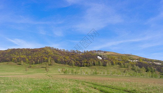 美丽的风景天空牧场小路农村蓝色阳光晴天树木绿色土地图片