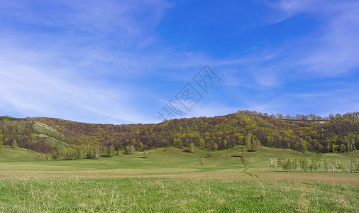 美丽的风景天空草地场地牧场乡村土地国家绿色树木阳光图片