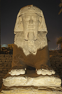 夜晚在卢克索寺的斯芬克斯神像大道砂岩大街地标雕像寺庙法老阴影崇拜建筑学狮身图片