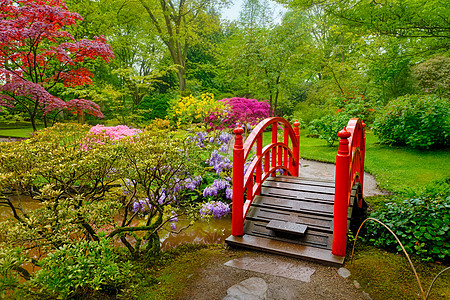 日式花园 荷兰海牙Clingendael公园旅行地标风景观光花坛公园禅意庭园景点活力图片