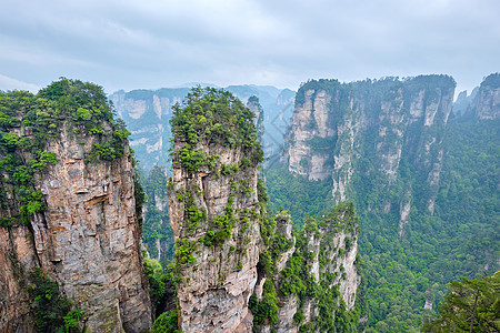 中国张家江山风景国家公园岩石石头地标森林柱子山脉化身图片