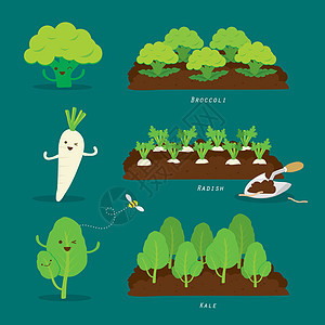 一套菜园 有机和健康食品卡通矢量图农场土壤植物地面生态图表叶子场地树叶插图图片