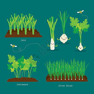 一套菜园 有机和健康食品卡通矢量图信息蔬菜营养土壤图表插图热带食物植物生长图片