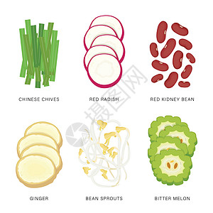 组的蔬菜切片 有机和健康食品分离元素矢量图花生营养市场食物草本植物生长热带韭菜水果卡通片图片