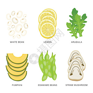 组的蔬菜切片 有机和健康食品分离元素矢量图柠檬沙拉叶子坚果树叶信息水果草本植物农业图表图片