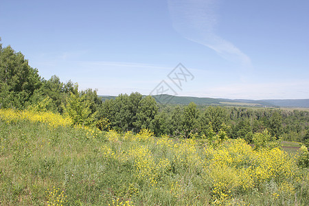 美丽的夏季风景生态天空土地季节场地山脉阳光木头爬坡蓝色图片