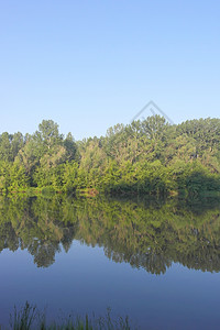 美丽的夏季风景天空阳光季节公园绿色反射树木木头森林蓝色图片