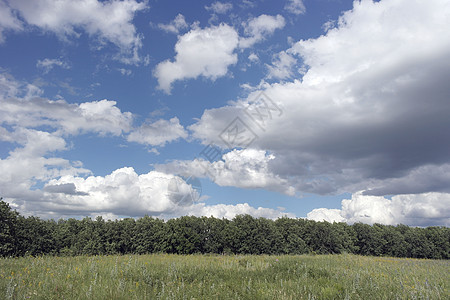 美丽的夏季风景场地草地绿色花园公园晴天天空阳光蓝色白色图片