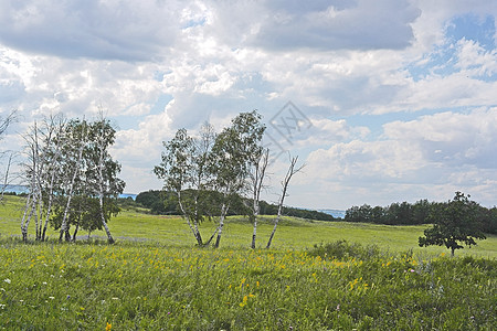 美丽的夏季风景天空植物土地太阳绿色乡村农业蓝色黄色草地图片