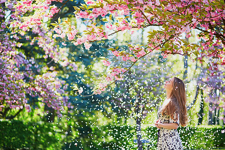 春日的樱花花园里的女孩花瓣乡村花园樱花农村压痛女士环境阳光成人图片