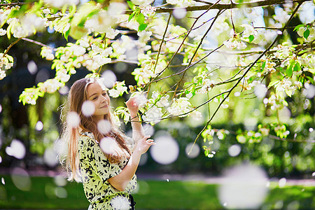 春日的樱花花园里的女孩公园花园环境樱花成人女士花瓣绿色压痛香味图片