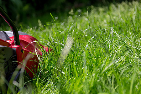 割草机和草坪发动机护理维护花园晴天机器园艺长草园林绿化图片