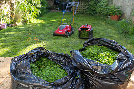 花园维护机器园林生长覆盖物草地家庭草坪设备草屑垃圾图片
