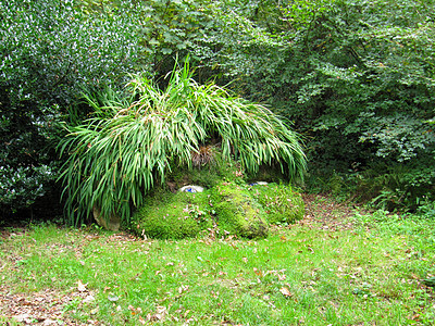 巨人之首 希利根失落的花园美化植物学雕塑园艺五角星园林公园绿化绿色艺术品图片