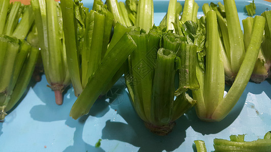 近距离接近红绿叶的菠菜或paalak saag烹饪萝卜白菜叶子沙拉草本植物树叶营养园艺食物图片