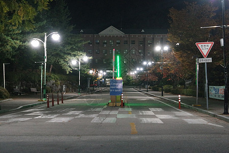 夜里看到铺面行人的道路 或走在树边的路上花园旅行后院车道途径小路植物学天空树叶路面图片