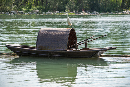 湖边中国传统渔船上的小埃格雷特人图片