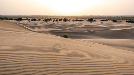 印度拉贾斯坦邦Jaisalmer的Thar沙漠中美丽的沙丘太阳白色日落干旱橙子海浪爬坡旅行风景黄色图片