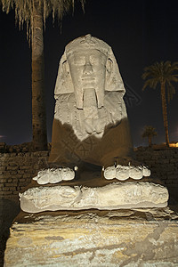 夜晚在卢克索寺的斯芬克斯神像大道法老建筑学文明地标历史性石头寺庙天空旅行雕像图片