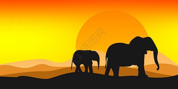 大象的黑色圆背影 阳光明媚的大象图片