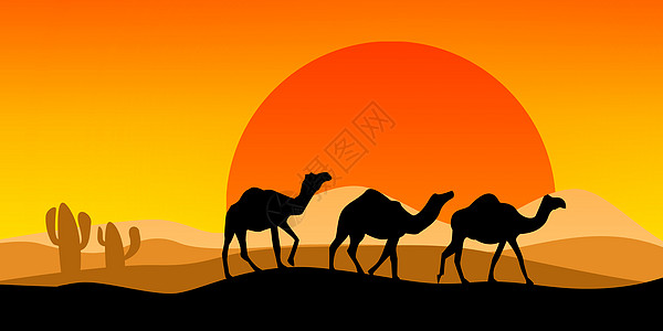 黄昏的骆驼背影风景图片