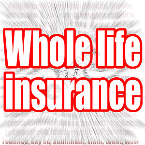 带有放大效果的全人寿保险单词作为背景背景图片