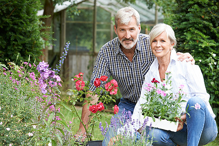 园圃中种植植物的多成熟夫妇女性花园园艺男人中年两个人玫瑰园丁享受爱好图片