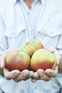 人持新提取苹果的近身水果花园园艺男性拨款采摘园丁农民健康饮食男人背景图片
