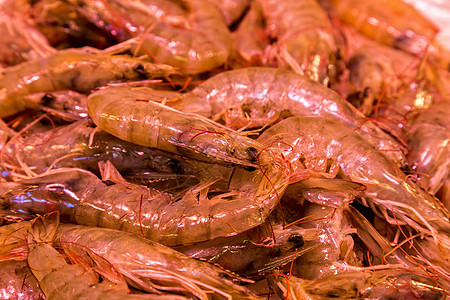 西巴塞罗那著名的博克里亚的鱼和海产食品市场图片