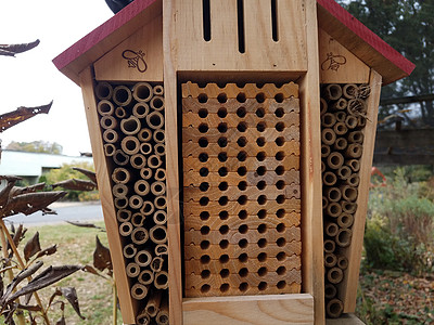 木制蜂房或有小洞的蜂房房子蜂巢木头昆虫动物野生动物嵌套背景图片