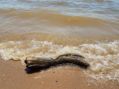 流沙的海浪 岩石和漂浮木浮木支撑石头海洋木头贝壳鹅卵石波浪图片