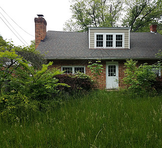 有高草的废弃房屋或废墟灌木丛草地植物建筑房子院子图片