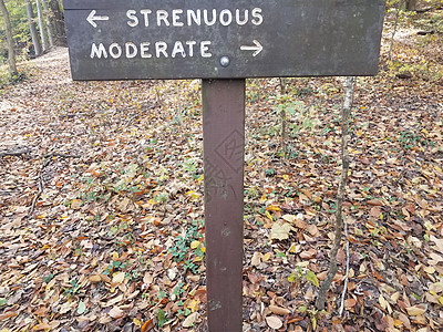 林叶落叶足迹上的木制坚硬或中度标志踪迹树叶箭头小路指示牌图片