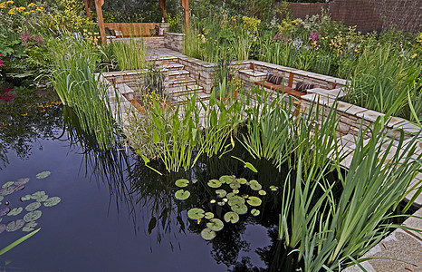 一个有水的多彩花园 有一个夏令营别墅避暑芦苇花朵座位黄色水生植物红色休息水平图片