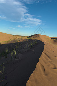 沙漠中的沙丘山脊图片