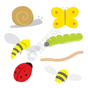 一套昆虫和动物 Bug 蜗牛瓢虫蝴蝶毛虫黄蜂和蜜蜂卡通 Vecto图片