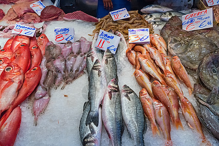 红丁鱼和其他鱼类饮食海洋销售钓鱼食物市场渔业鳕鱼海鲜鲭鱼图片