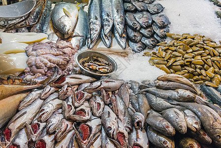 圣地亚哥Mercado中心鱼和海鲜鳕鱼海洋饮食市场营养小龙虾渔业食物盐水盒子图片