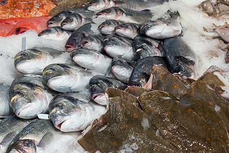冰上鱼出售海洋营养饮食海鲜美食渔业鳕鱼食物盐水盒子图片