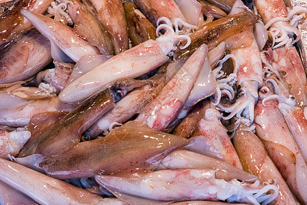 巴勒莫市场的新鱿鱼图片