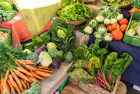 不同种类的蔬菜供出售菠菜黄瓜收藏韭葱青菜市场菜花胡椒沙拉香菜图片