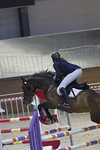 黑人种马上的年轻女子 在表演跳跃比赛中跳过障碍物皮革骑士马具宠物运动哺乳动物女孩冒险马术座位图片