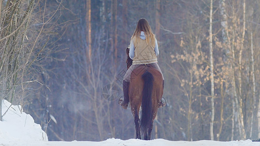 骑黑马的女性骑手穿过雪 后视闲暇女士骑士尊严漂移力量马术骏马螺柱黑发图片