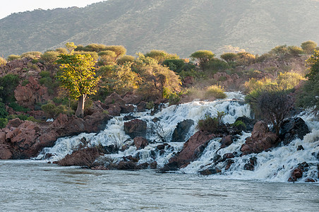 库内内河Epupa瀑布的一部分图片