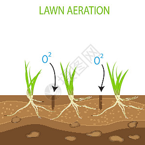 园艺草坪景观设计服务 白色背景上的矢量 在曝气优势的背景下 地面上的绿色草坪图片