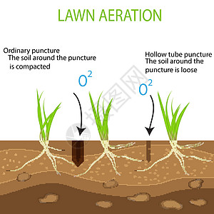 园艺草坪景观设计服务 白色背景上的矢量 与通常方法相比 空心管曝气工具在地面上的绿色草坪的优势图片