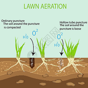 园艺草坪景观设计服务 蓝色背景上的矢量 与通常方法相比 空心管曝气工具在地面上的绿色草坪的优势图片